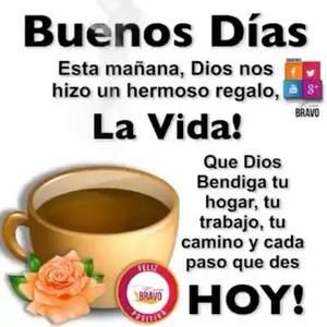 Meet your Posher, Liseth